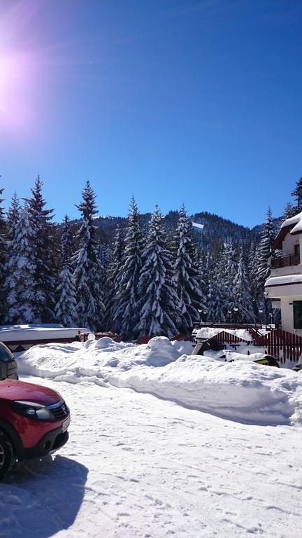 Tes Rila Park Apartments Borowec Zewnętrze zdjęcie