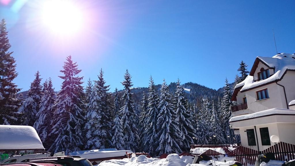 Tes Rila Park Apartments Borowec Zewnętrze zdjęcie