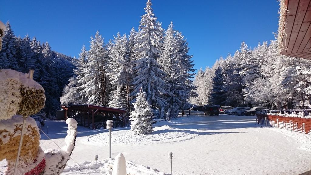 Tes Rila Park Apartments Borowec Zewnętrze zdjęcie